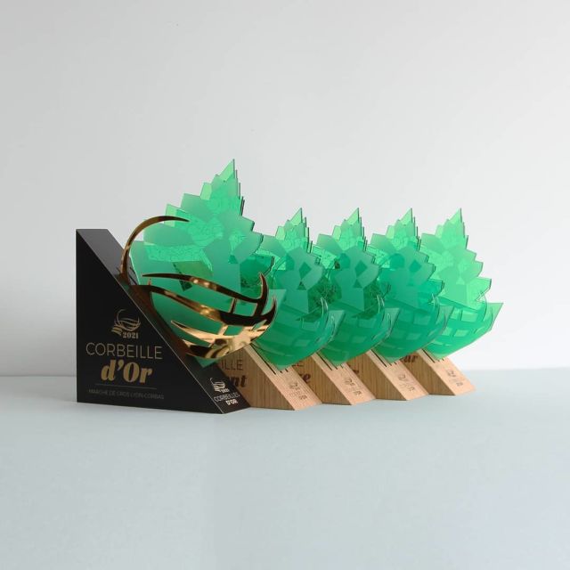 Hier, le Marché de Gros Lyon-Corbas accueillait la 3ème édition des Corbeilles d'Or.  🍏 Parrainé par le @cheflaurentpetit ce concours met en avant le métier de primeur.  🚀 Nous sommes fier d'avoir réalisé les trophées de cet évènement, en collaboration avec @hstudio.graphic  🐟 Merci à @agencepoissondavril , d'avoir fait appel à nous.  .
.
.
.
.  @corbeillesdor @bottifruits @closdessens    #marchedegroslyoncorbas #marchedegroslyon #marchedegros #corbeillesdor #primeur #mof #meilleurouvrierdefrance #mofprimeur #fruits #legumes #corbeilledefruits #concours #cma #lasercut #trophy